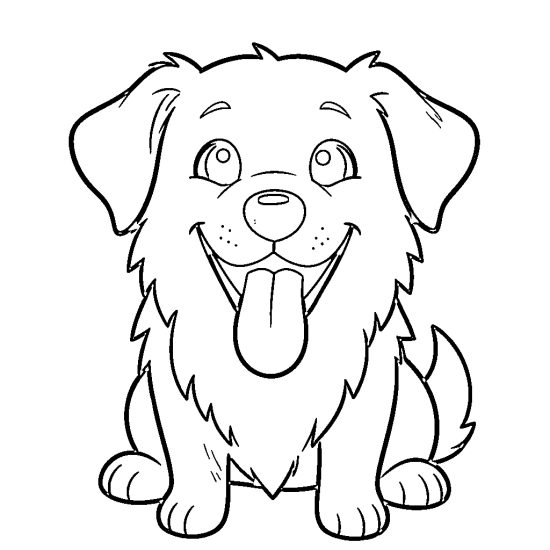 cute puppy
