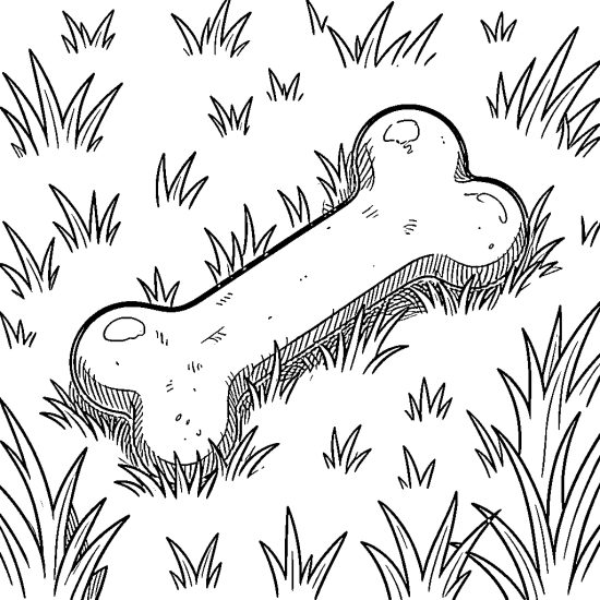 dog bone